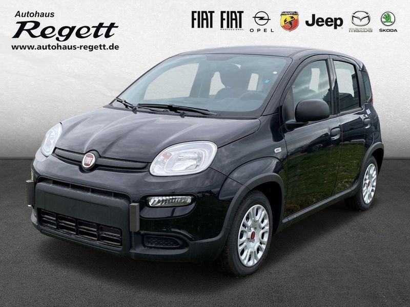 Schwarz Neu 2024 Fiat Panda Kleinwagen | 15.990 € - Bild 1/4