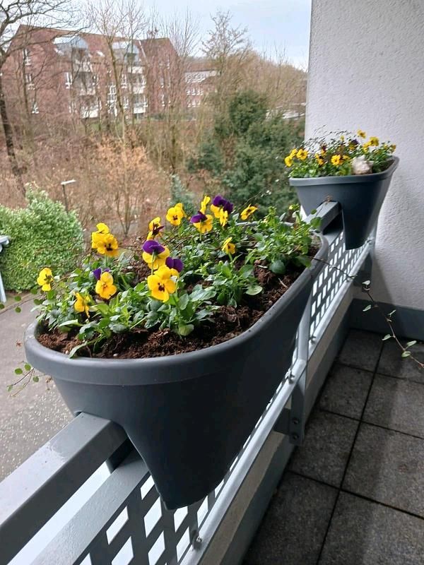 Gebraucht Mercedes E220 177 PS (130 kW) 2005 Silber Limousine