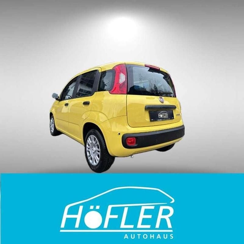 Neu Fiat Panda 69 PS (50 kW) 2025 Gelb Kleinwagen