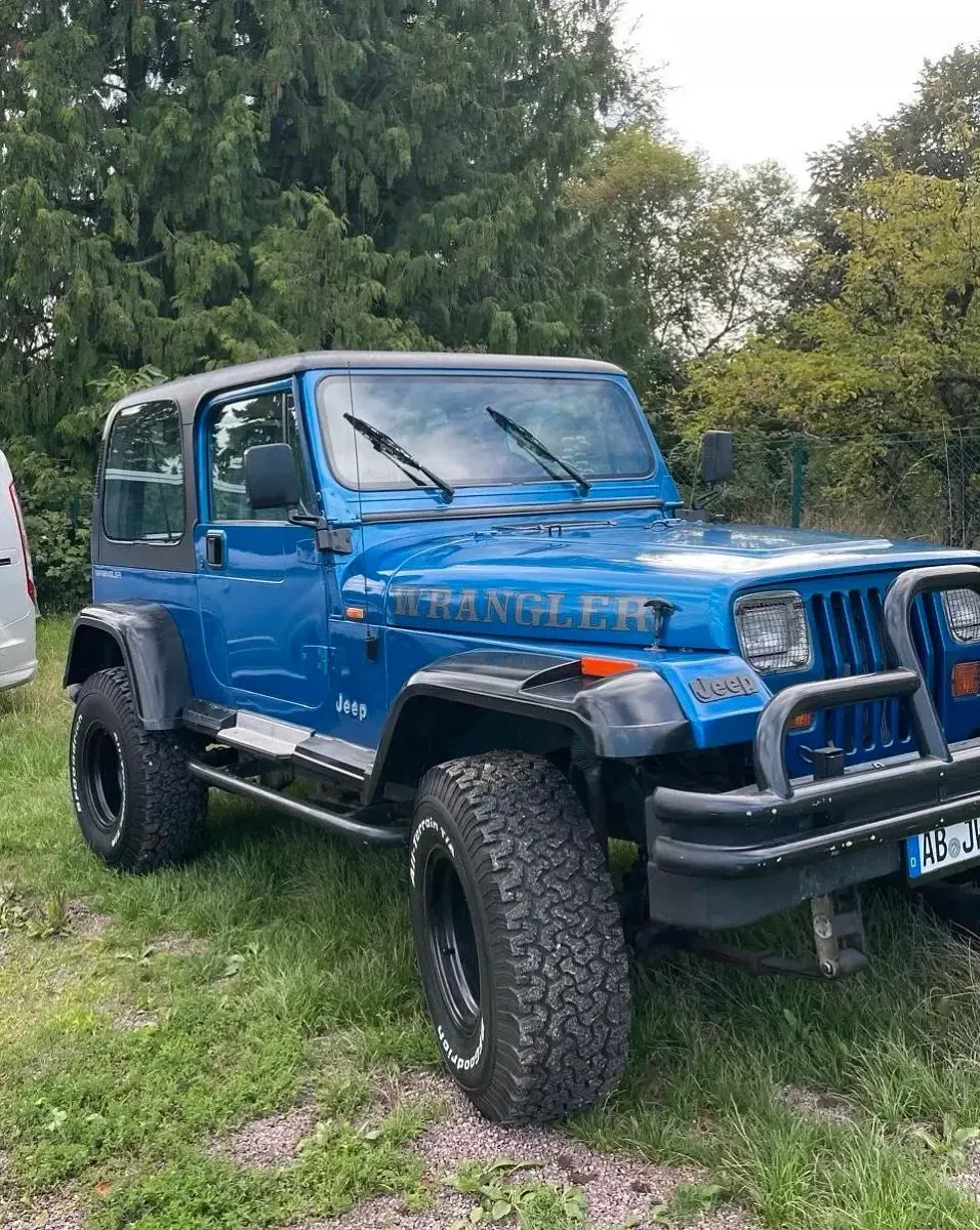 Gebraucht Jeep Wrangler 177 PS (130 kW) 1992 Blau SUV