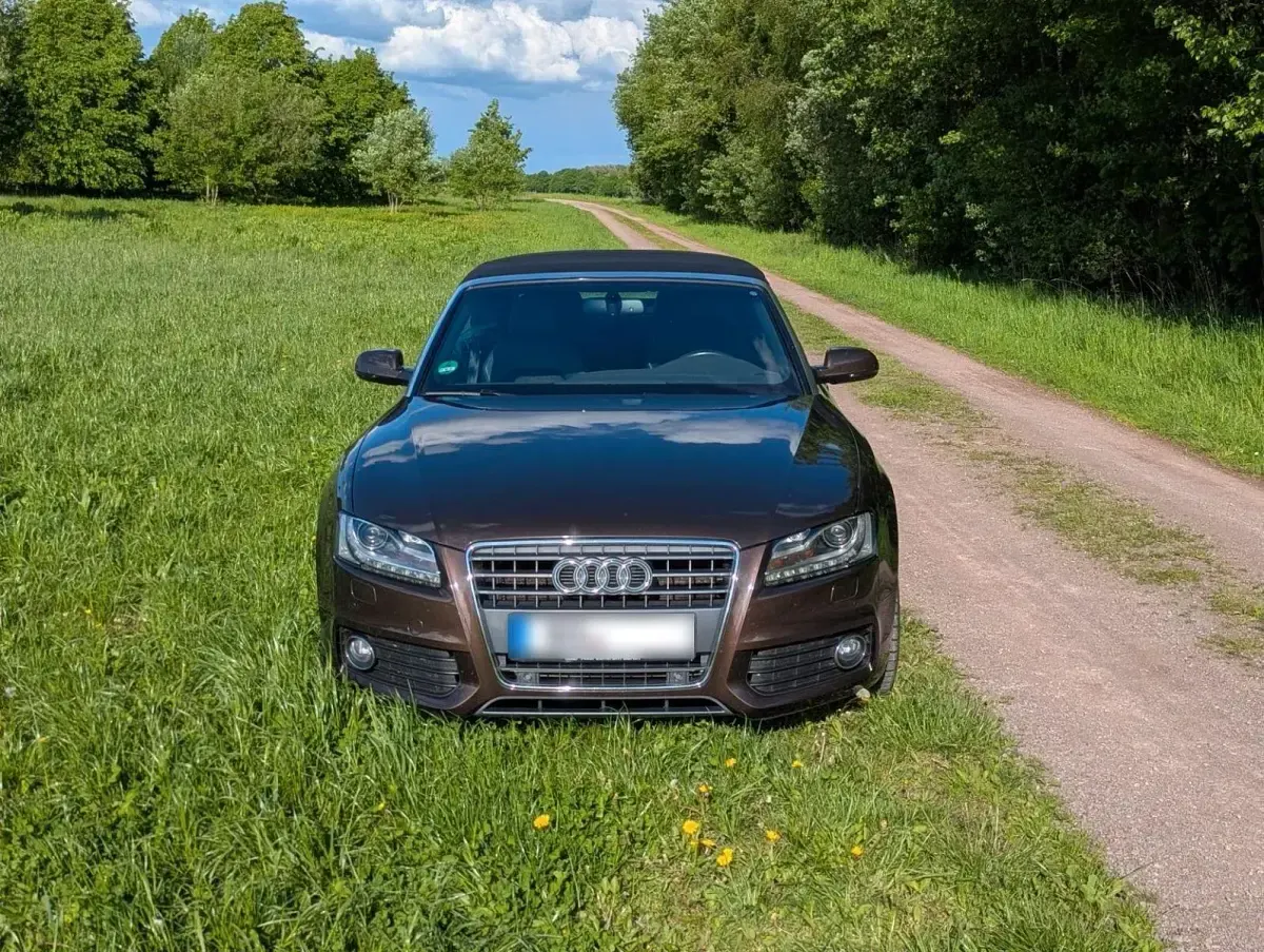 Gebraucht Audi A5 Cabriolet S-Line 170 PS (125 kW) 2010 Braun Cabrio