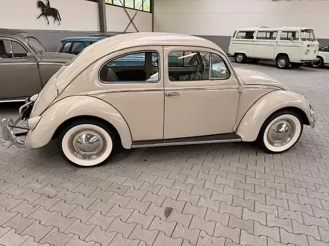 Gebraucht VW Käfer 1955 Weiss