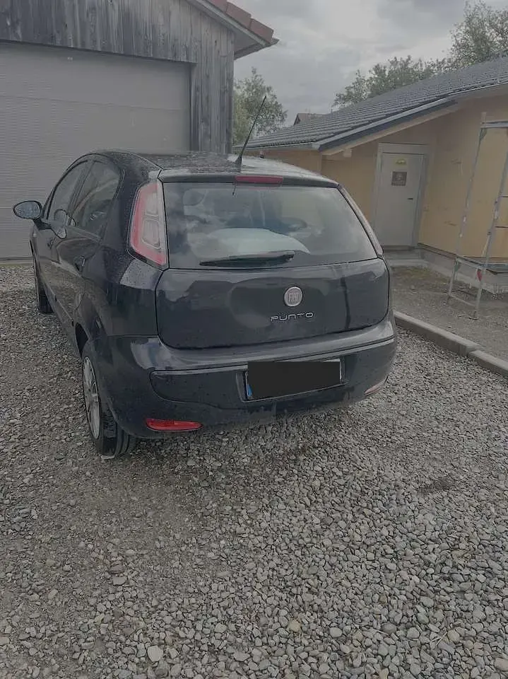Gebraucht Fiat Punto Evo Active 68 PS (50 kW) 2011 Kleinwagen
