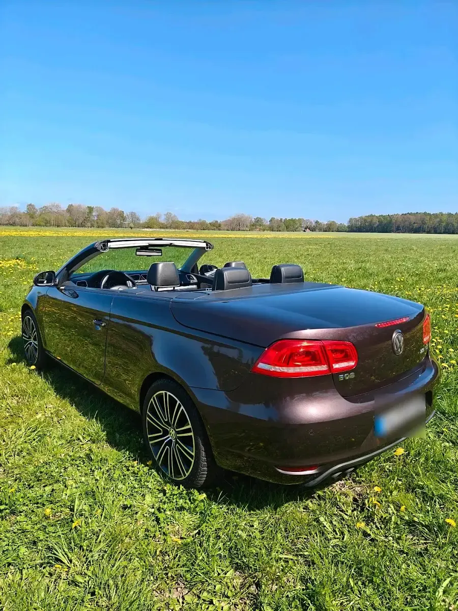 Gebraucht VW Eos Exclusive 140 PS (102 kW) 2007 Violet Cabrio