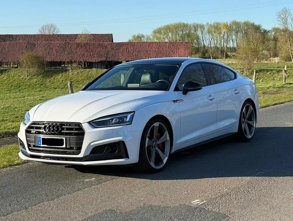 Gebraucht Audi S5 Sportback Ambiente 352 PS (258 kW) 2019 Weiß Kleinwagen