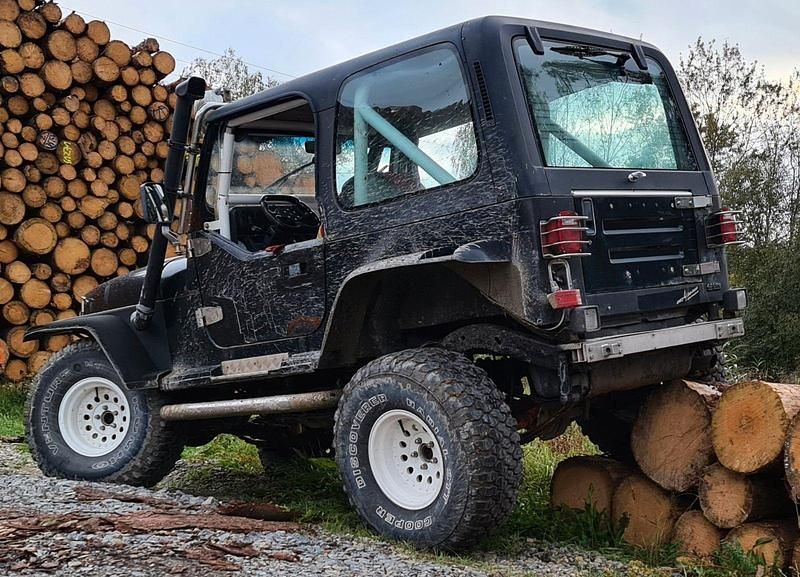 Gebraucht Jeep Wrangler 184 PS (135 kW) 1994 Schwarz SUV