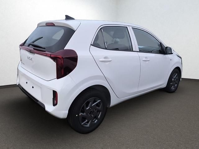 Neu Kia Picanto Vision 68 PS (50 kW) 2025 Weiss Kleinwagen