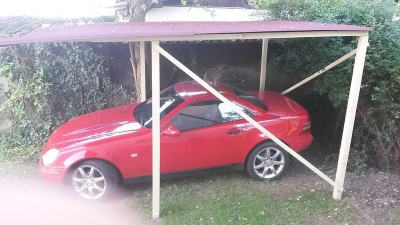 Rot Gebraucht 1999 Mercedes SLK200 Cabrio | 4.900 € (Fairer Preis) - Bild 1/1