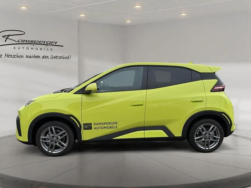 Usata BYD Dolphin Surf Comfort 114 kW (156 CV) 2026 Giallo Utilitaria