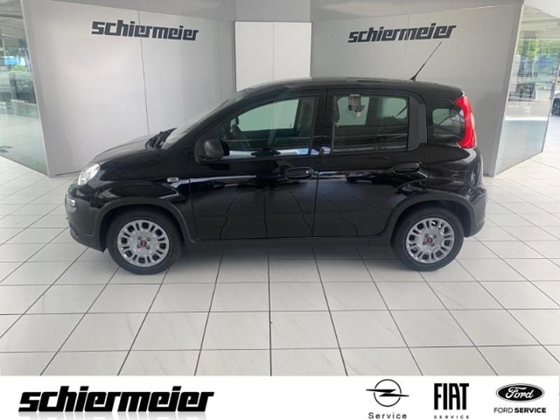 Gebraucht Fiat Panda 69 PS (50 kW) 2024 Kleinwagen