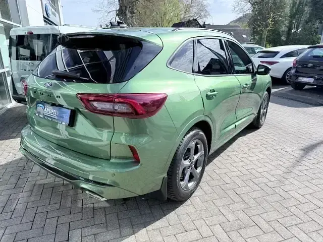 Gebraucht Ford Kuga ST-Line 186 PS (136 kW) 2024 Gruen SUV
