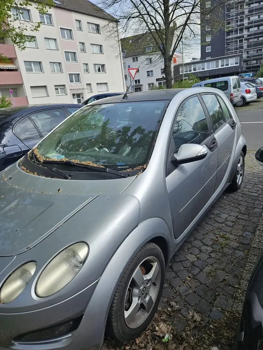 Occasion Smart ForFour 65 PK (47 kW) 2006 Zilver Hatchback