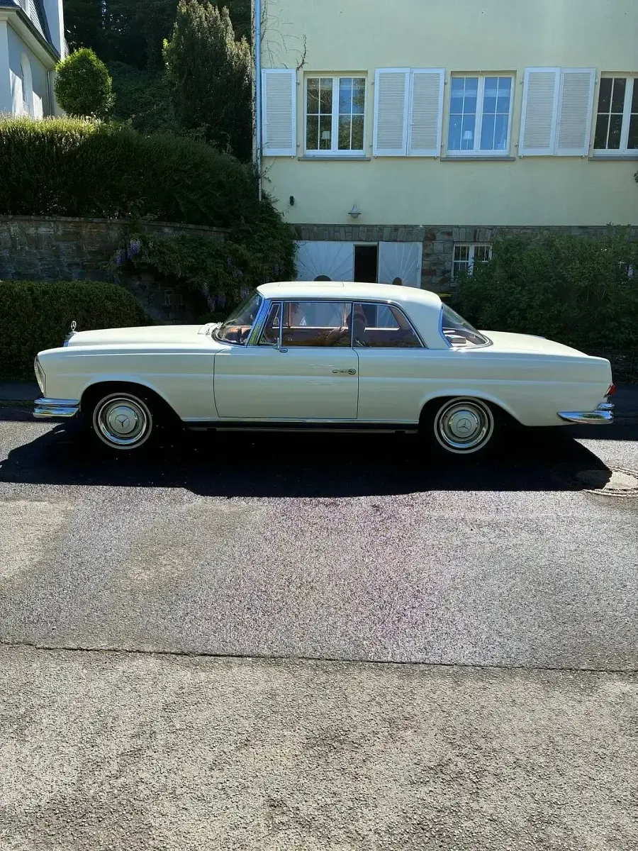 Gebraucht Mercedes 250 SE 150 PS (110 kW) 1965 Weiß Coupé