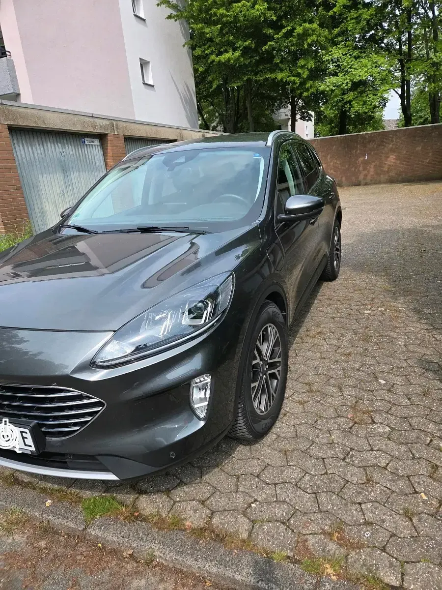 Gebraucht Ford Kuga Titanium 190 PS (139 kW) 2020 SUV