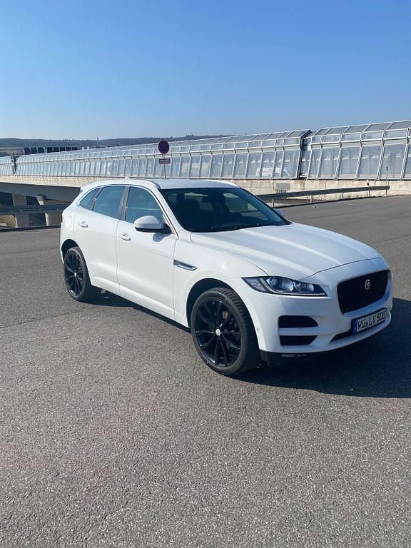 Gebraucht Jaguar F-Pace Pure 180 PS (132 kW) 2017 Weiß SUV