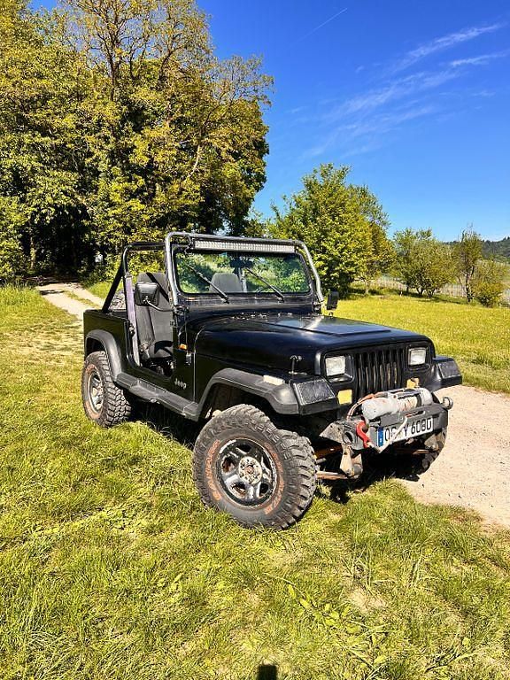 Gebraucht Jeep Wrangler 184 PS (135 kW) 1995 Schwarz SUV