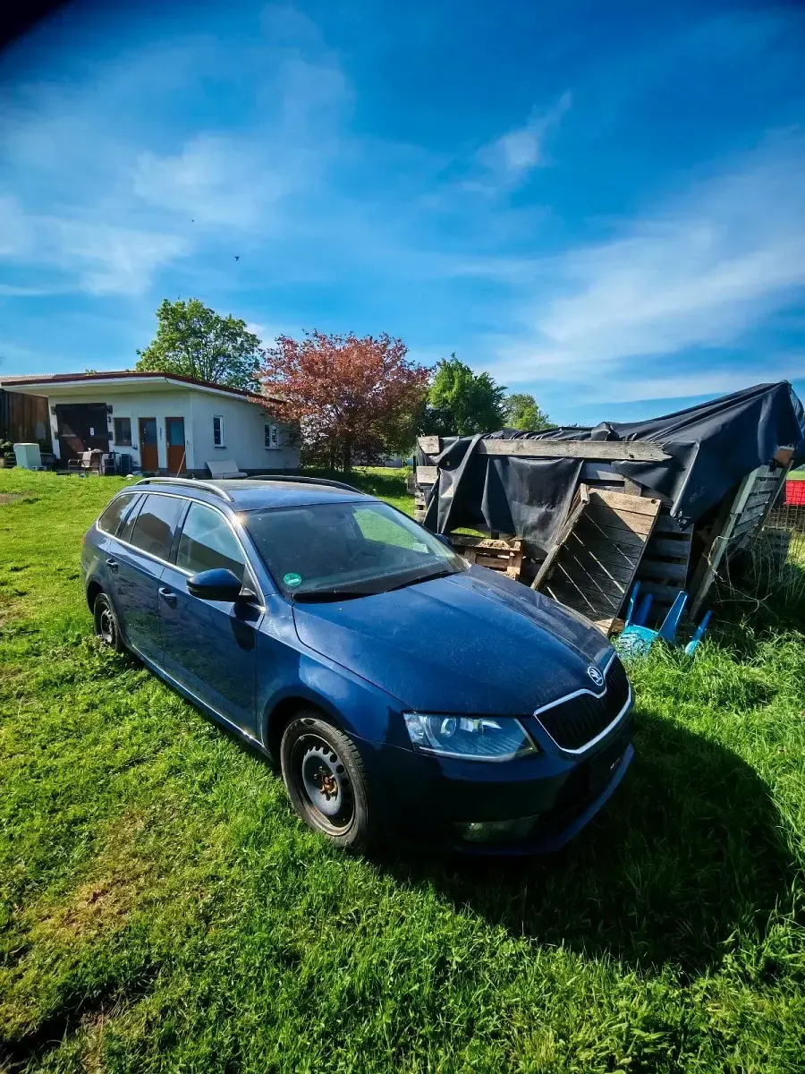 Gebraucht Skoda Octavia 110 PS (80 kW) 2016 Blau Kombi