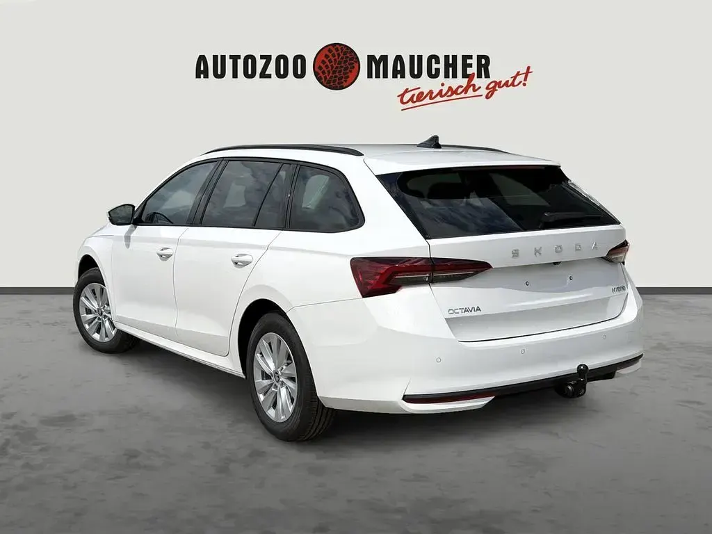 Neu Skoda Octavia Selection 116 PS (85 kW) 2026 Weiß Limousine