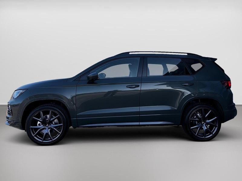 Nowe Cupra Ateca 150 KM (110 kW) 2026 Zielony SUV