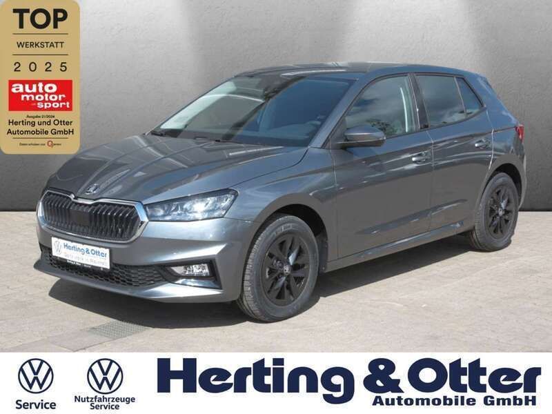 Grau Gebraucht 2025 Skoda Fabia Kleinwagen | 21.790 € (Fairer Preis) - Bild 1/3
