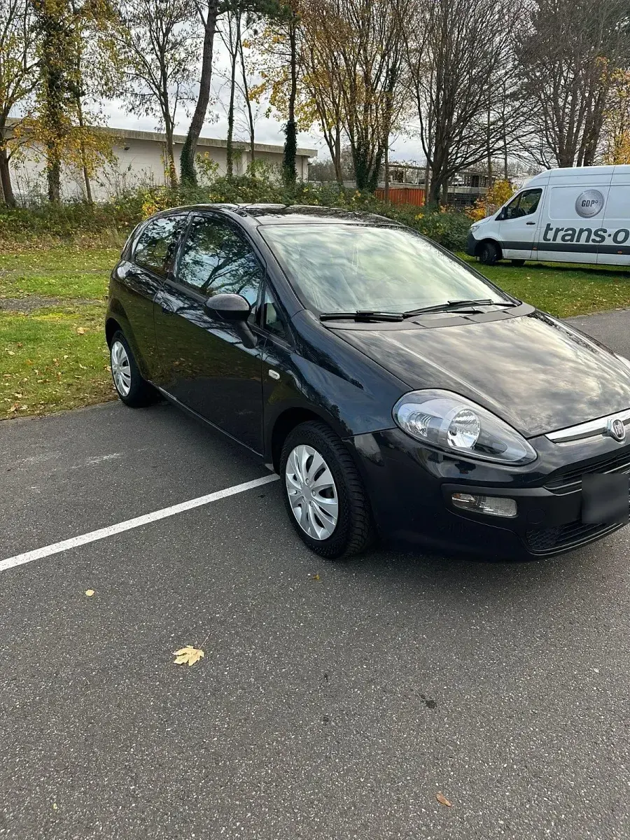Gebraucht Fiat Punto Easy 69 PS (50 kW) 2013 Schwarz Kleinwagen