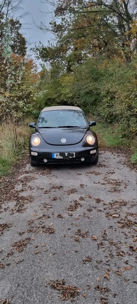 Gebraucht VW New Beetle 150 PS (110 kW) 2004 Schwarz Kleinwagen