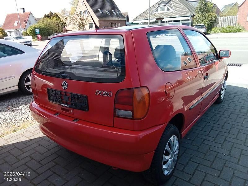 Usata VW Polo 54 CV (39 kW) 1994 Rosso Utilitaria