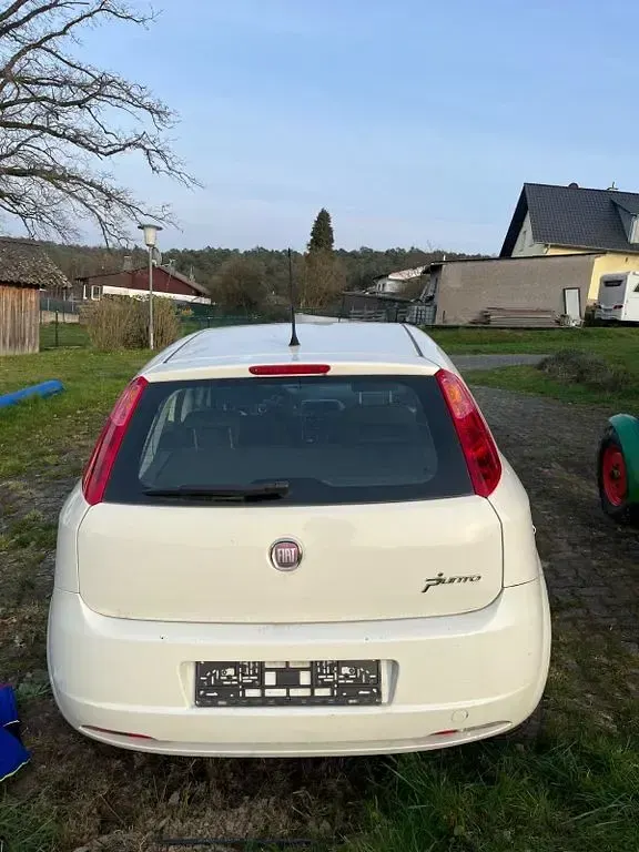 Gebraucht Fiat Punto Evo 69 PS (50 kW) 2012 Weiß Kleinwagen