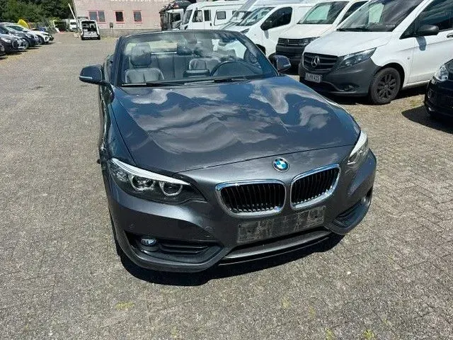 Gebraucht BMW 220 Advantage 190 PS (139 kW) 2018 Grau Cabrio