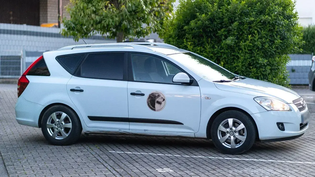 Gebraucht Kia Ceed EX 126 PS (92 kW) 2008 Weiß Kleinwagen