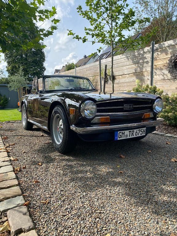 Braun Gebraucht 1975 Triumph TR6 Cabrio | 29.900 € - Bild 1/4