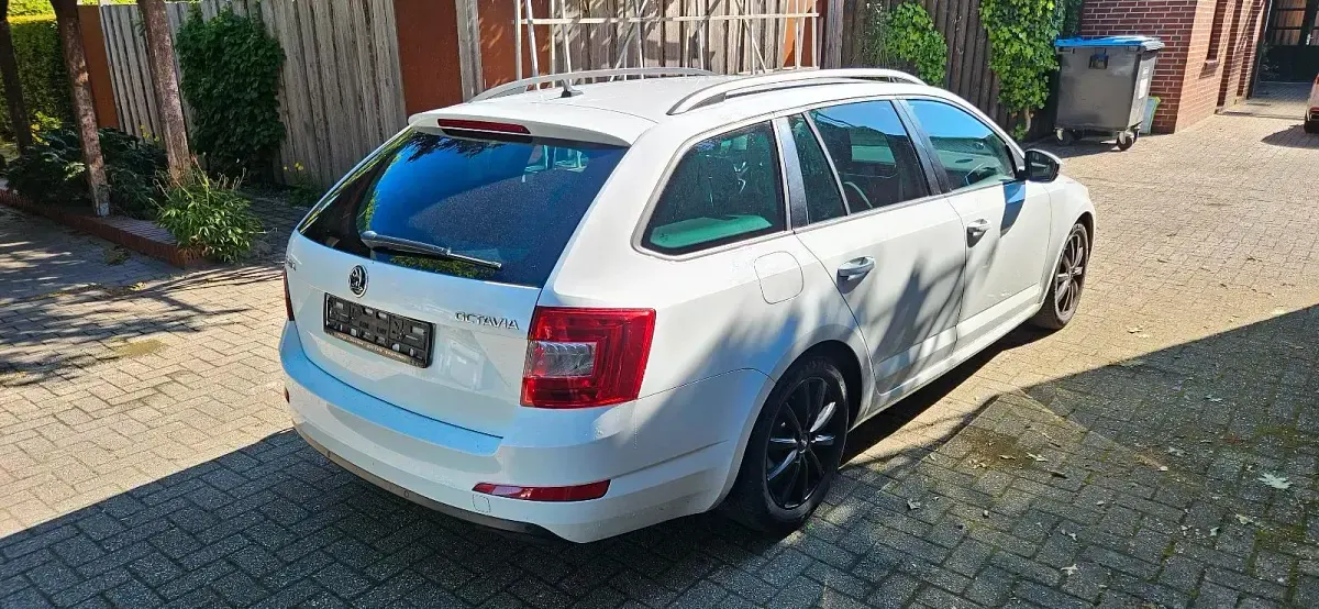 Gebraucht Skoda Octavia 110 PS (80 kW) 2016 Weiß Kombi