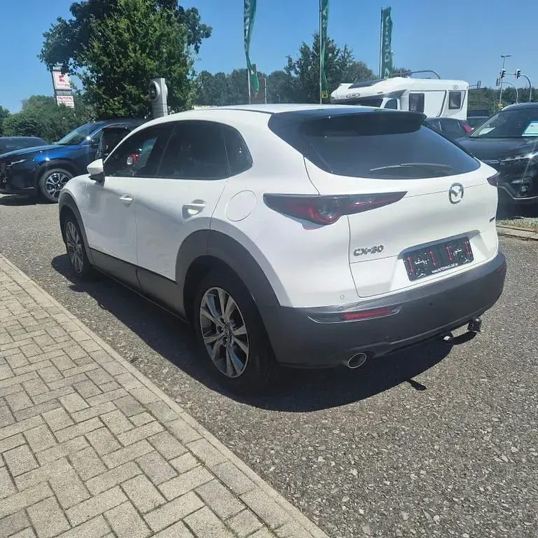 Gebraucht Mazda CX-30 Selection 186 PS (136 kW) 2022 Weiß SUV