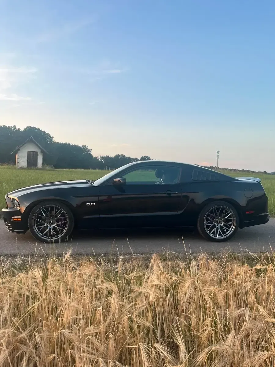 Gebraucht Ford Mustang 426 PS (313 kW) 2013 Schwarz Coupé