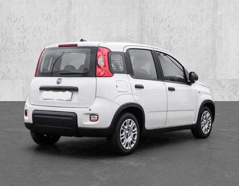 Weiß Neu 2025 Fiat Panda Limousine | 15.340 € (Fairer Preis) - Bild 1/4