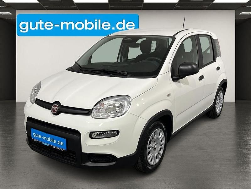 Weiß Neu 2024 Fiat Panda Kleinwagen | 12.990 € (Guter Preis) - Bild 1/4