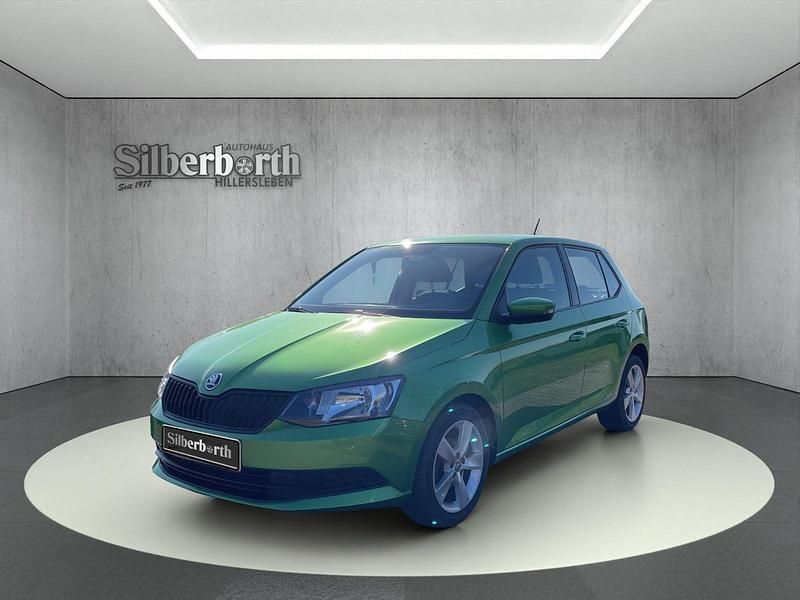 Gebraucht Skoda Fabia Cool Edition 75 PS (55 kW) 2016 Grün Kleinwagen