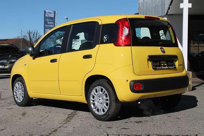 Neu Fiat Panda Icon 65 PS (47 kW) 2026 Positano gelb Kleinwagen
