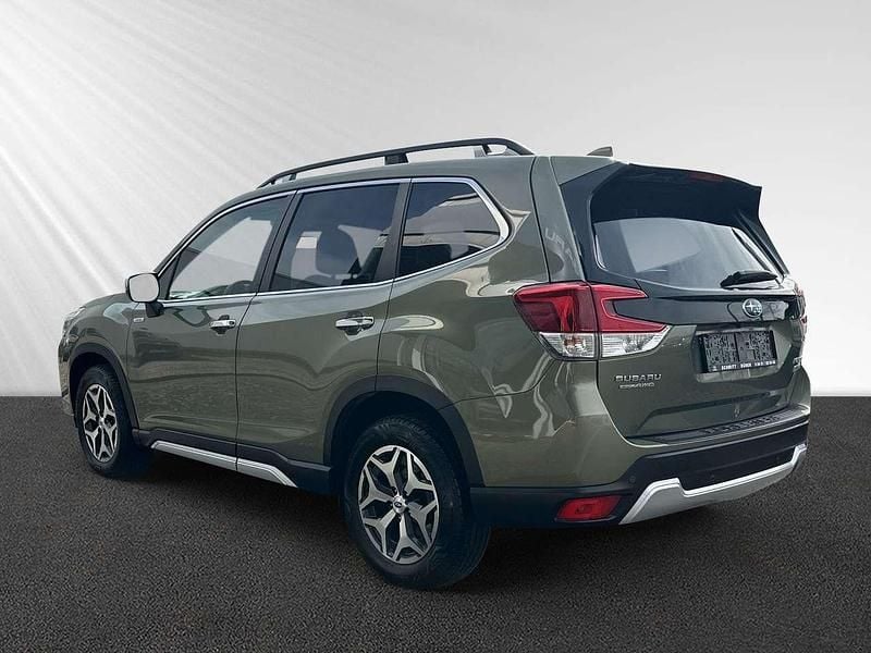 Gebraucht Subaru Forester Comfort 150 PS (110 kW) 2020 Jasper green (m) SUV