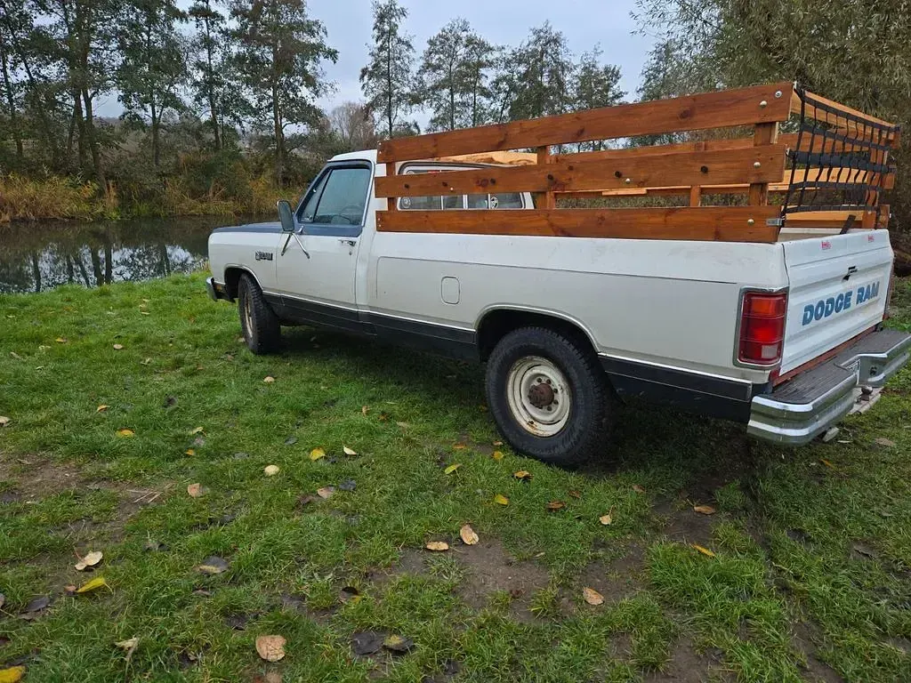 Gebraucht Dodge Ram SE 250 PS (183 kW) 1986 Grau Pickup