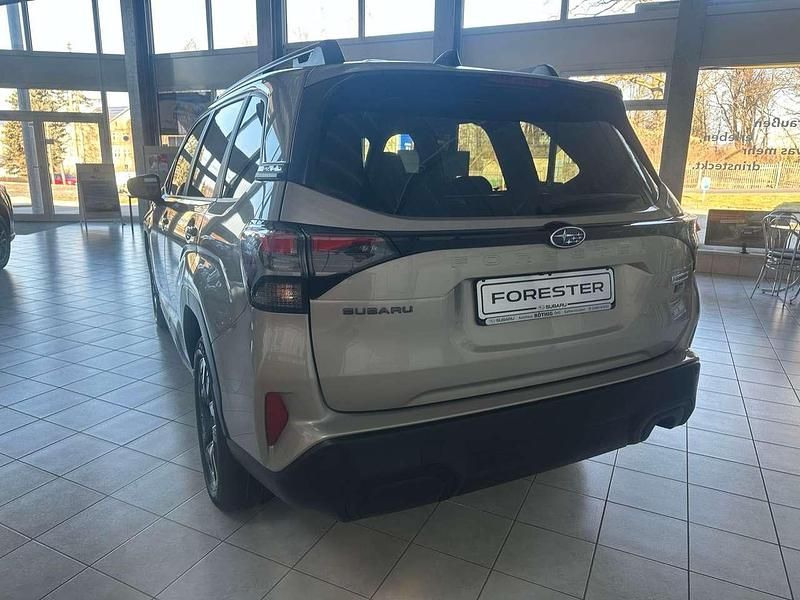 Neu Subaru Forester Active 136 PS (100 kW) 2025 Cashmere gold opal SUV
