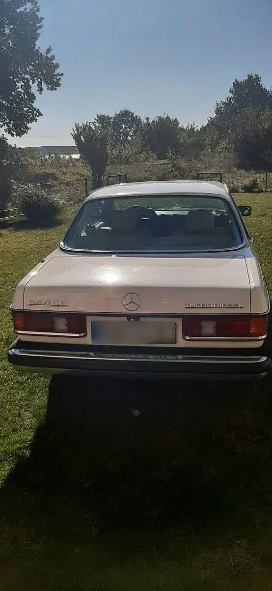 Gebraucht Mercedes 300 129 PS (94 kW) 1984 Weiß Coupé