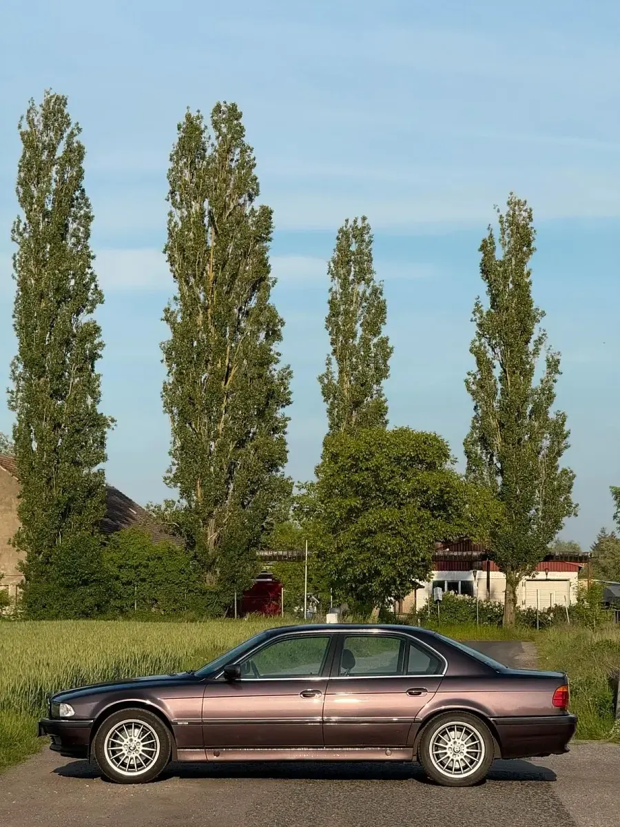 Gebraucht BMW 730 218 PS (160 kW) 1994 Violet Limousine