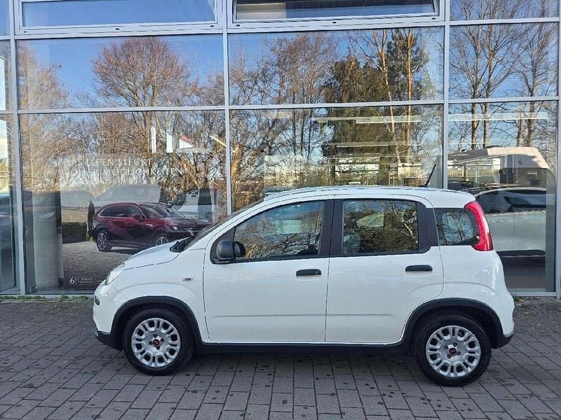 Gebraucht Fiat Panda 69 PS (50 kW) 2023 Bianco gelato Kleinwagen