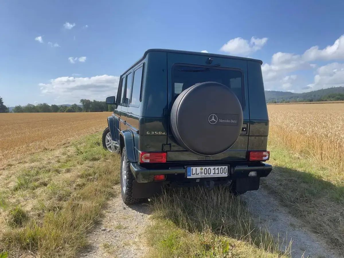 Gebraucht Mercedes G350 245 PS (180 kW) 2017 Grün SUV