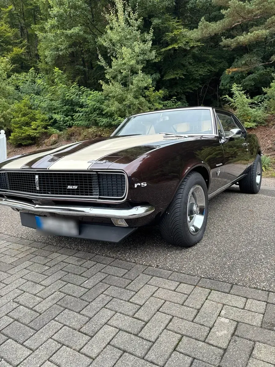 Gebraucht Chevrolet Camaro 280 PS (205 kW) 1967 Coupé