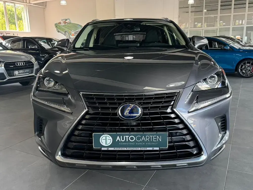 Gebraucht Lexus NX300h 197 PS (144 kW) 2021 Grau SUV