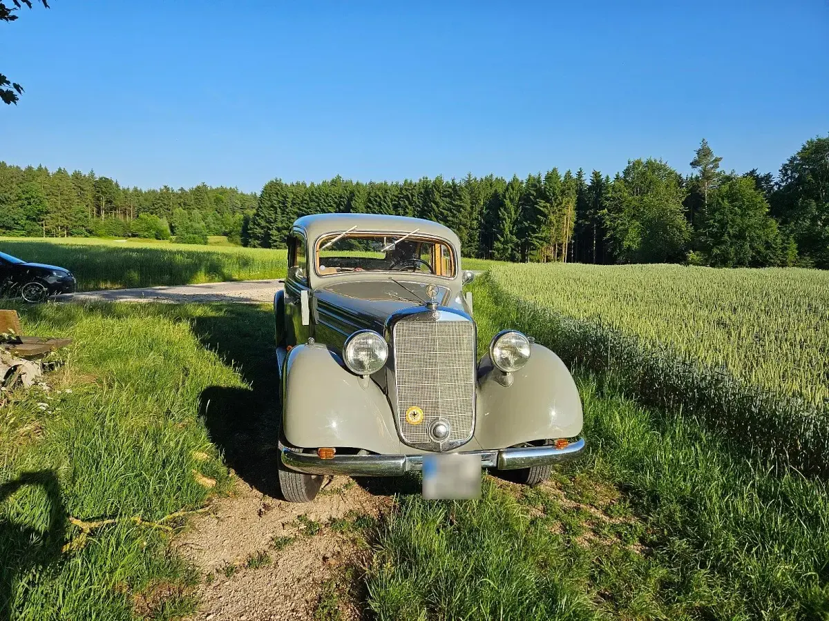Gebraucht Mercedes 170 45 PS (33 kW) 1953 Grau Limousine