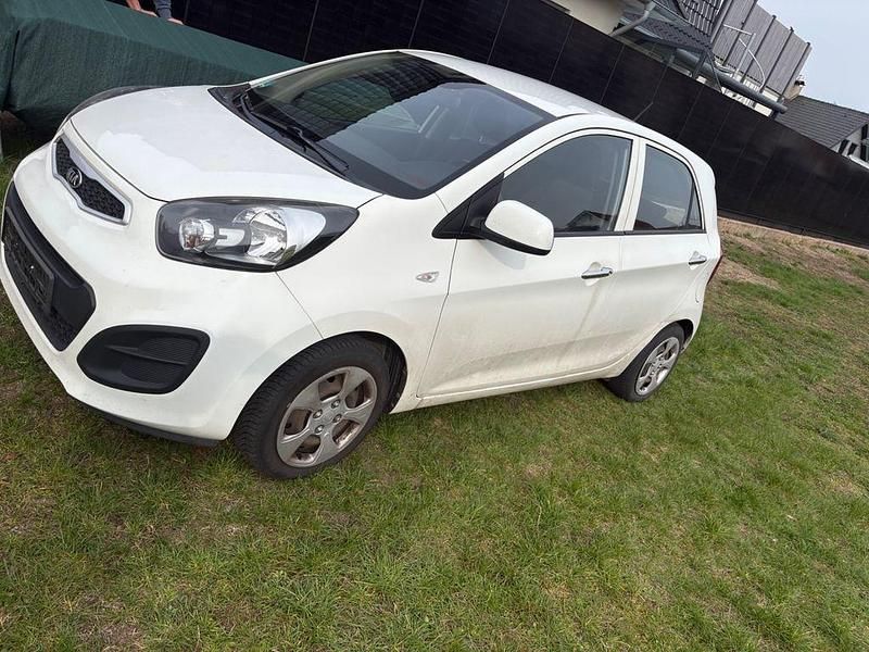 Gebraucht Kia Picanto 69 PS (50 kW) 2014 Weiß Kleinwagen