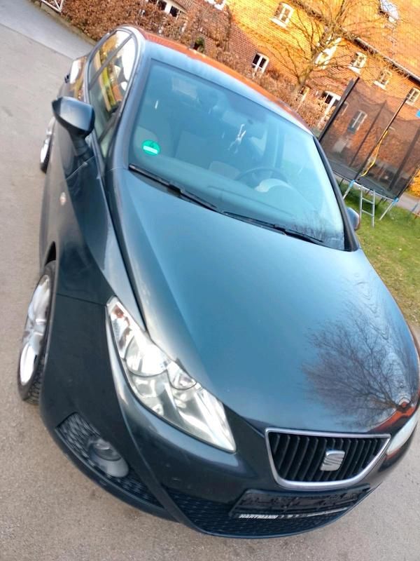 Gebraucht Seat Ibiza Style 85 PS (62 kW) 2009 Grau Kleinwagen